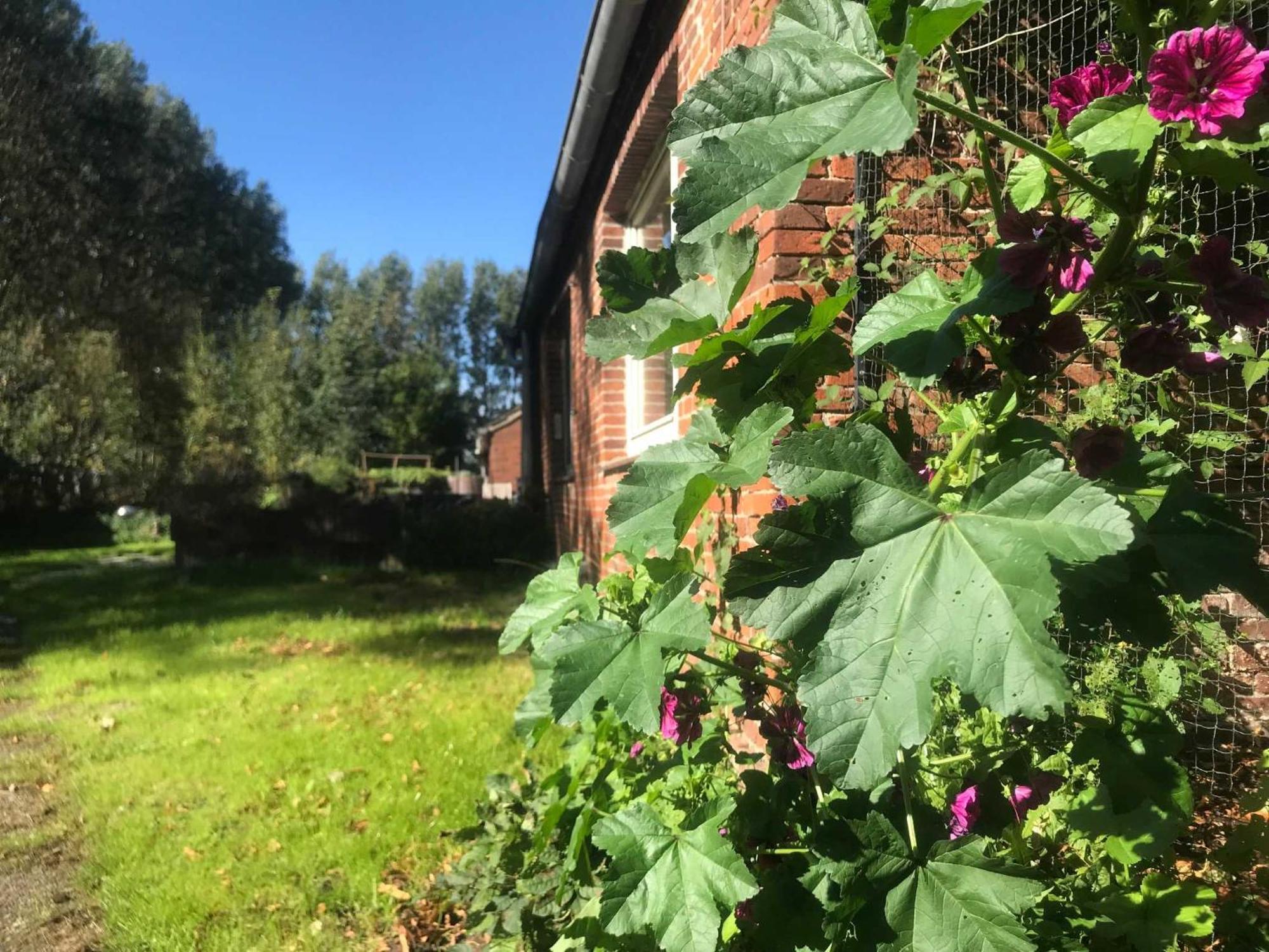 Farm stay Gulfhof Friedrichsgroden Carolinensiel
