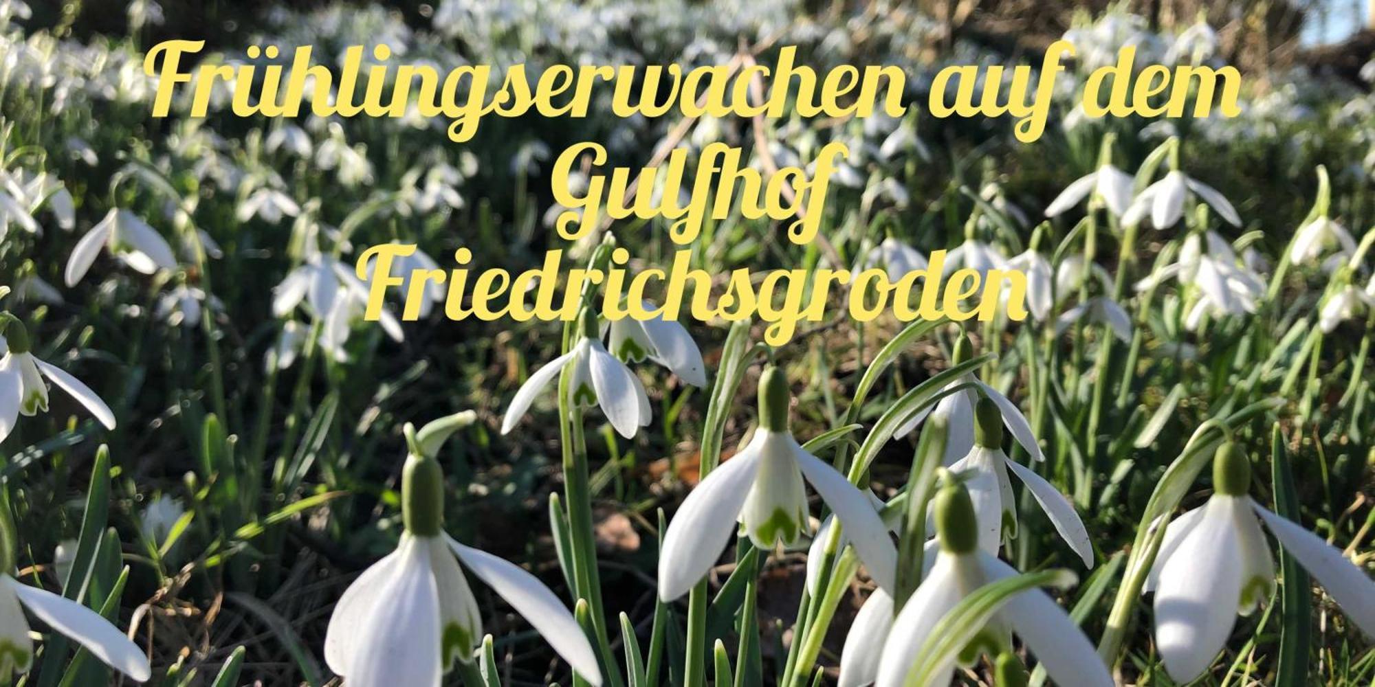 Farm stay Gulfhof Friedrichsgroden