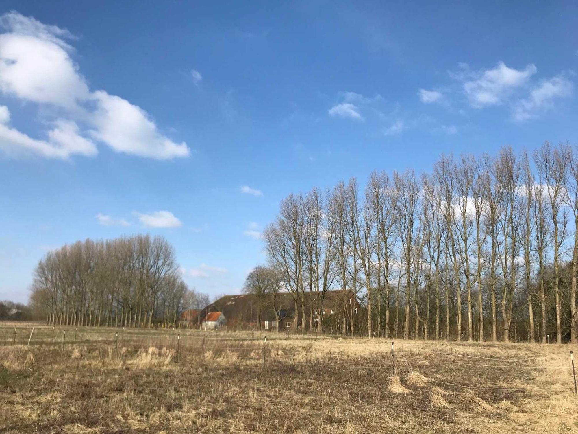 Farm stay Gulfhof Friedrichsgroden Carolinensiel