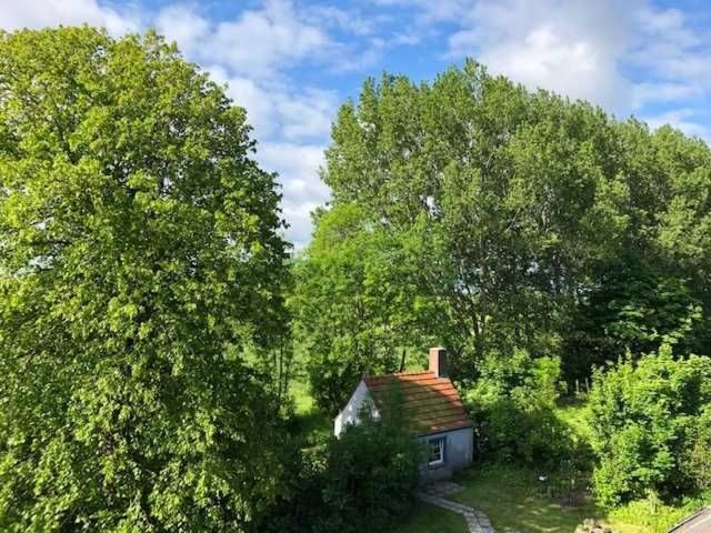Gulfhof Friedrichsgroden Farm stay Carolinensiel